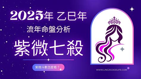 流年貪狼化忌|2025年，乙巳年，紫微斗數流年運勢分析，詳細介。